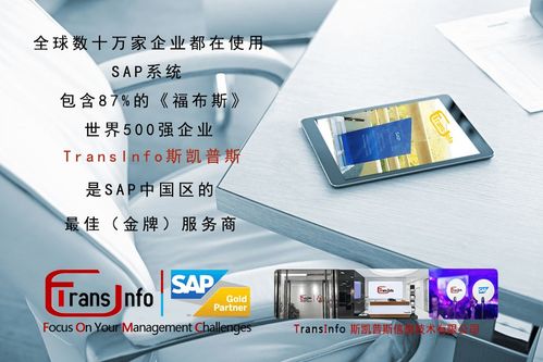 国内ERP知名品牌与商品信息咨询服务深度解析